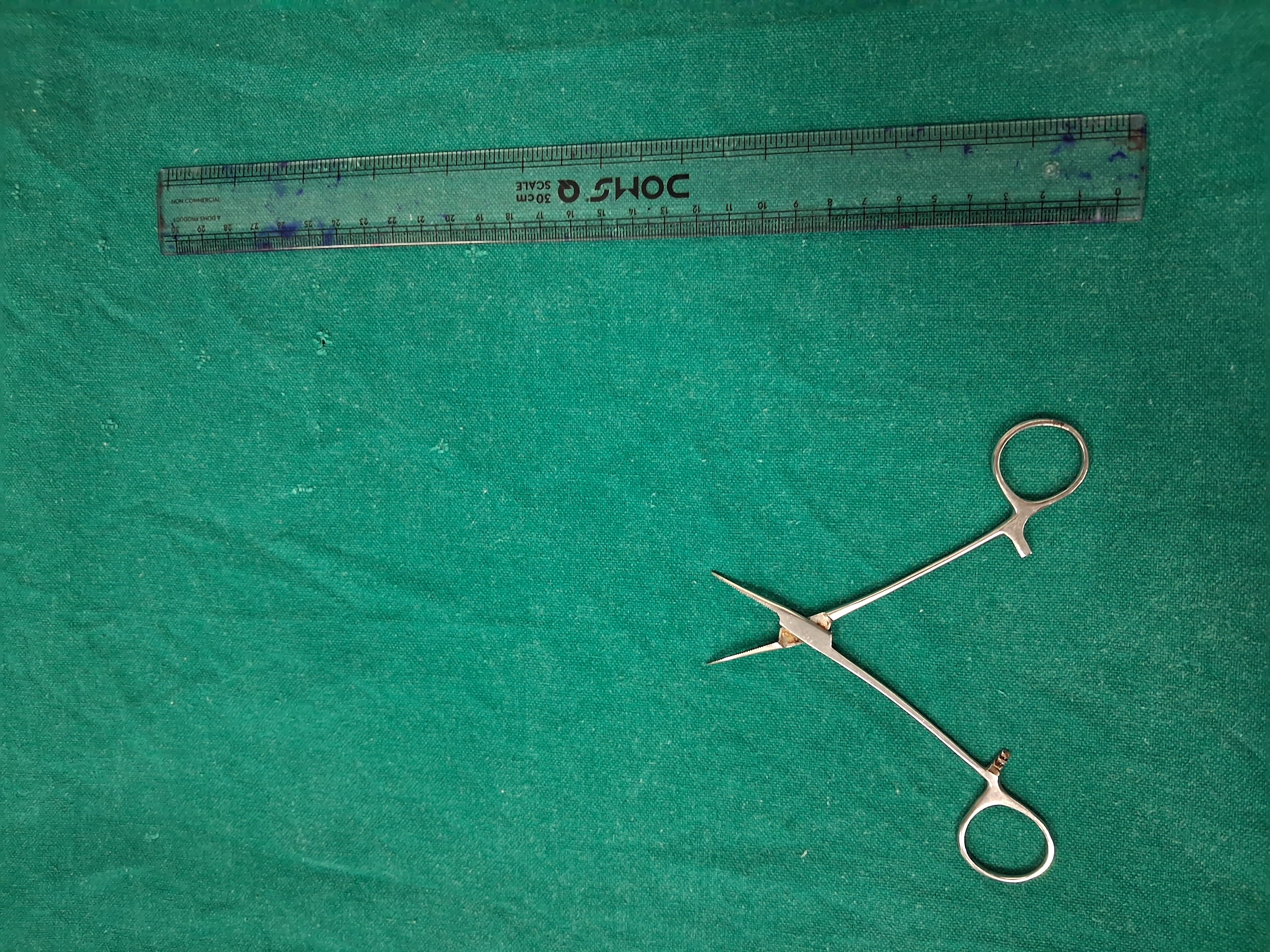 Artery Forcep Mosquito Str.